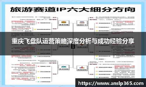 重庆飞盘队运营策略深度分析与成功经验分享